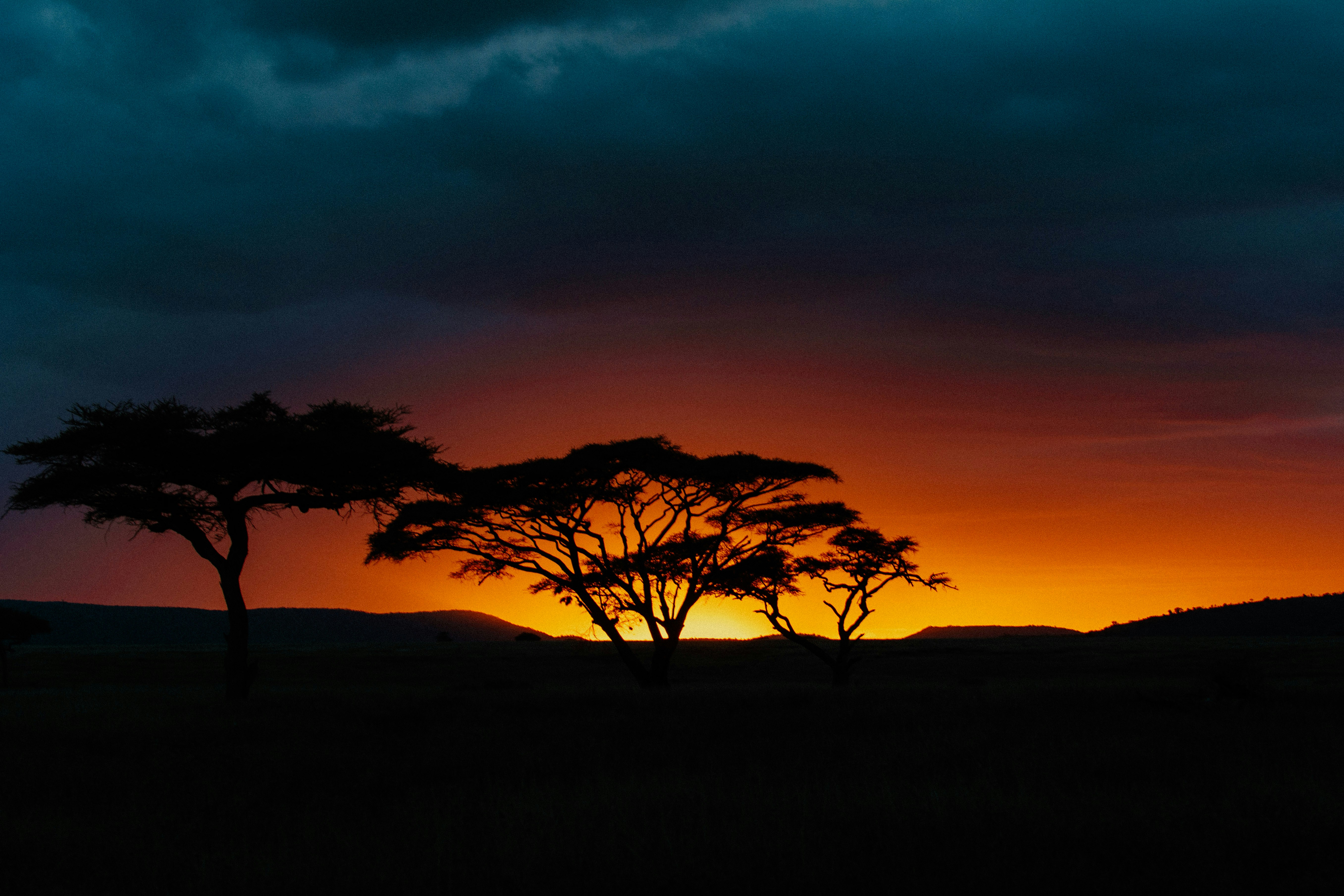 Kilimanjaro Trek