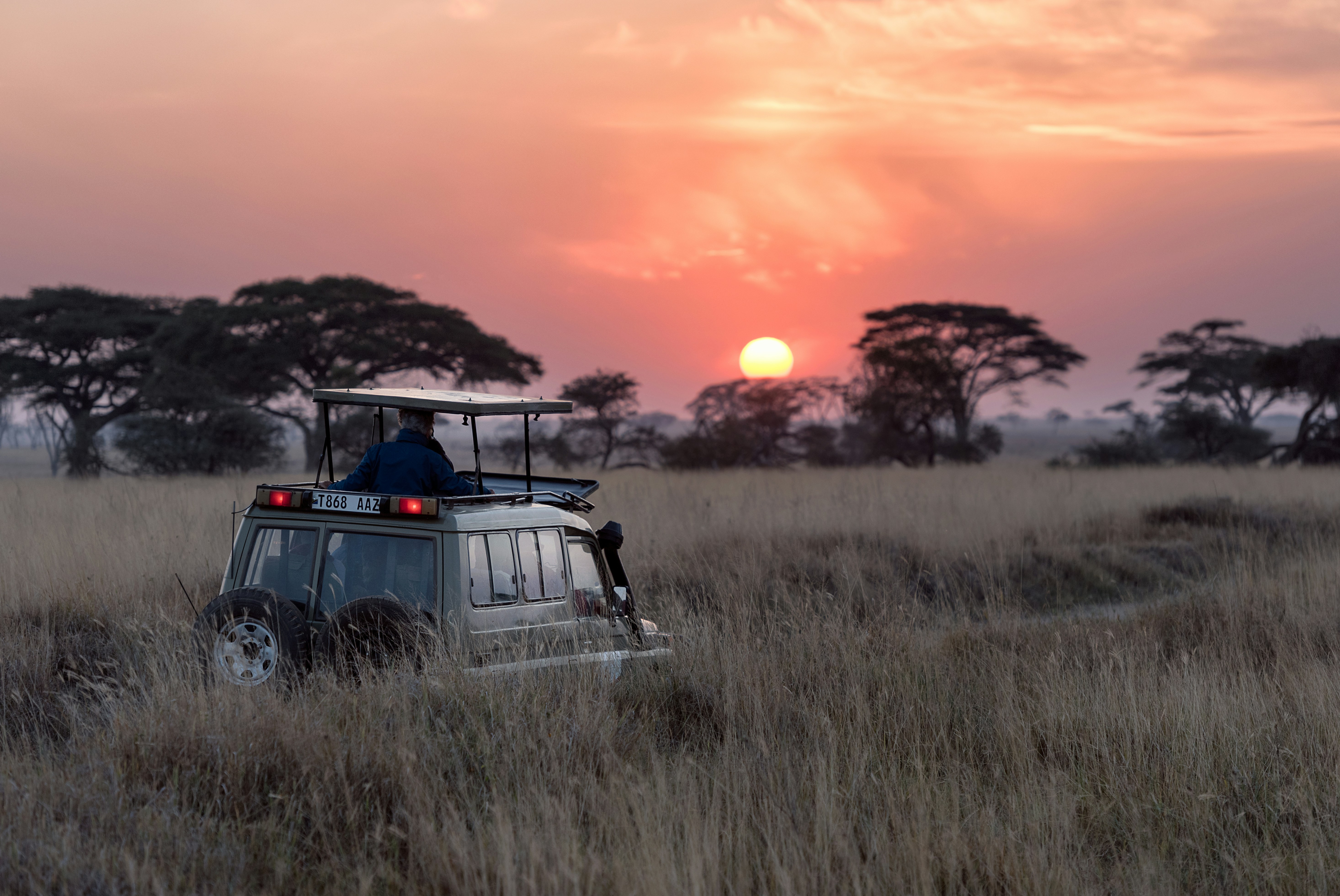 Friends on safari adventure