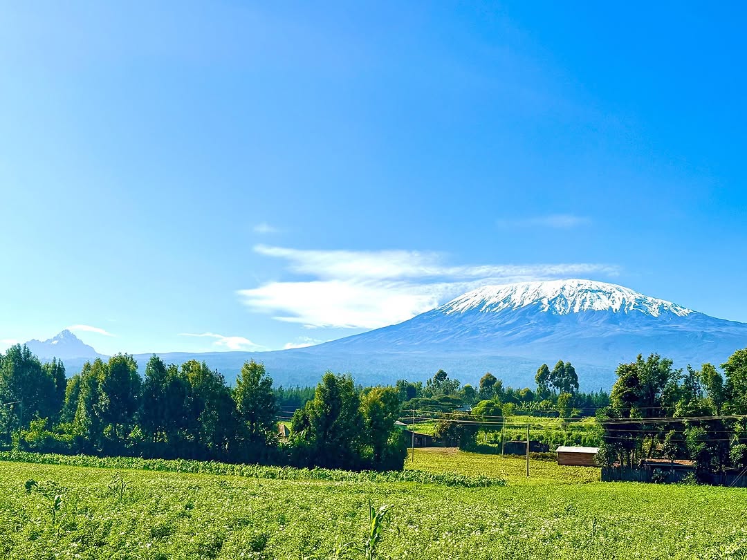 Kilimanjaro scenic view