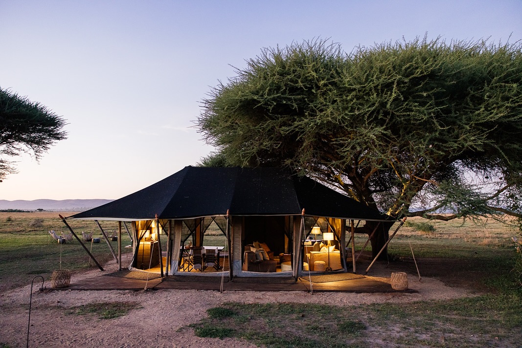 Luxury safari camp