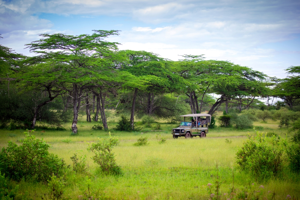 Safari vehicle with tourists
