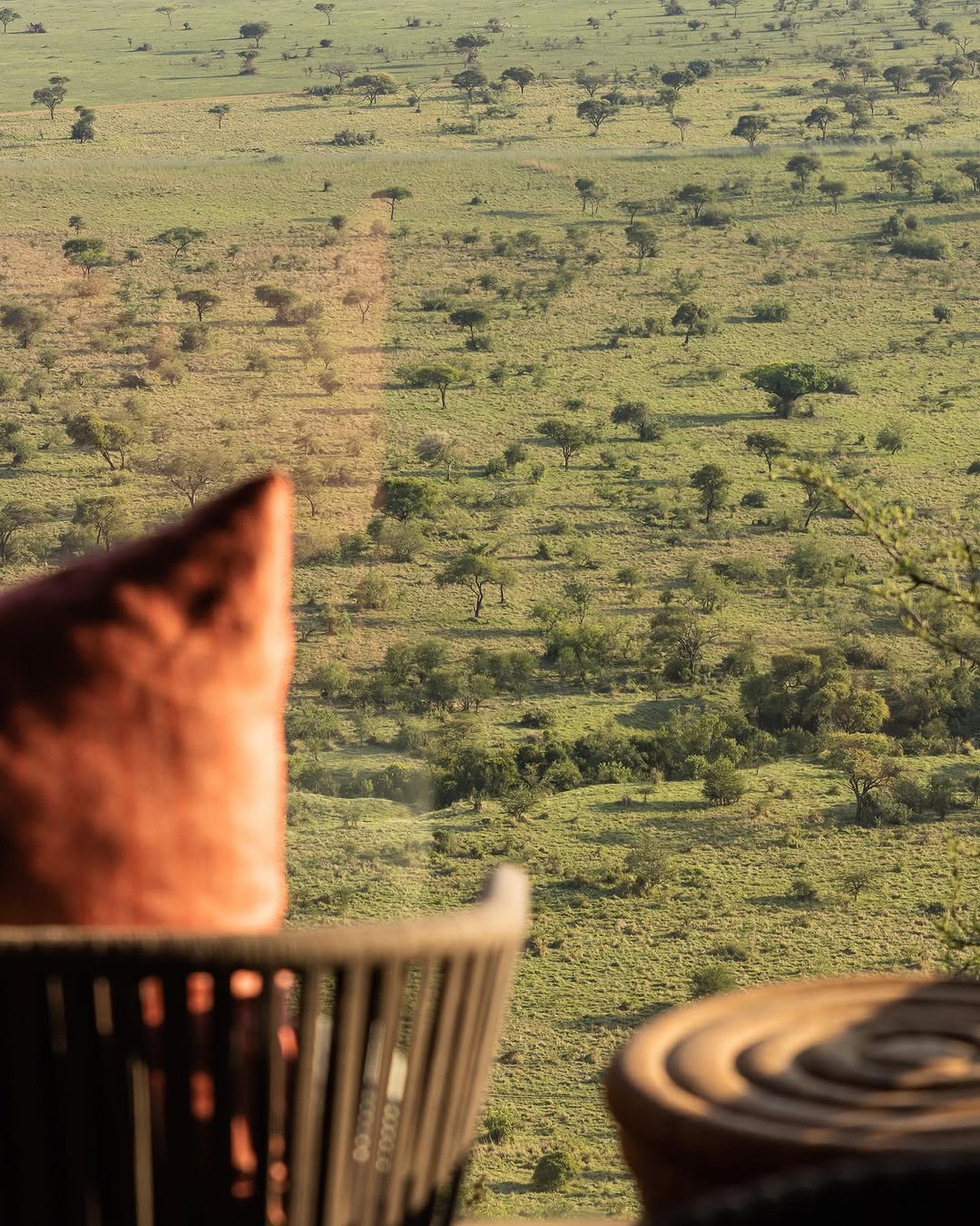 Relaxation in the Serengeti