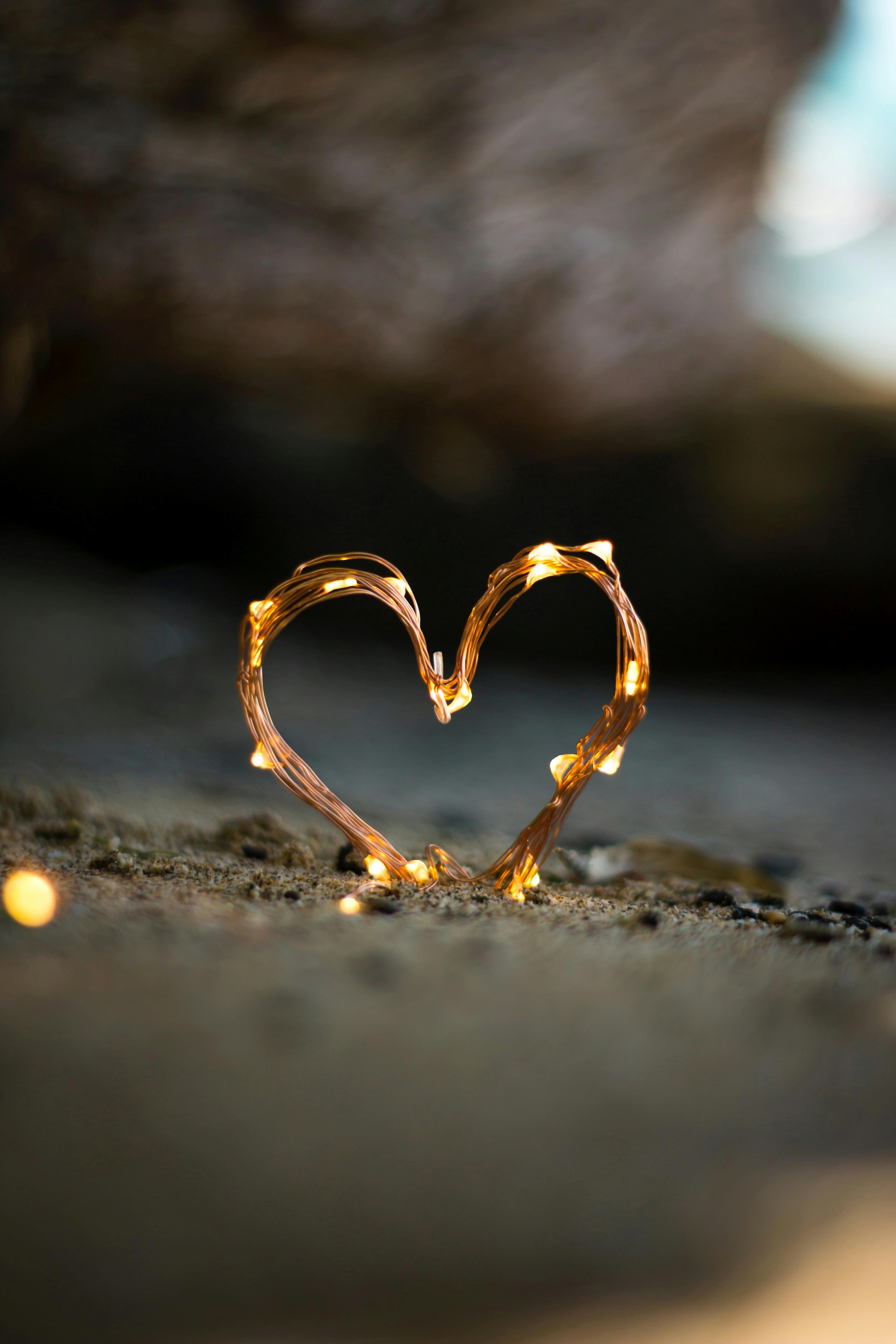 Couple sharing romantic moment on safari
