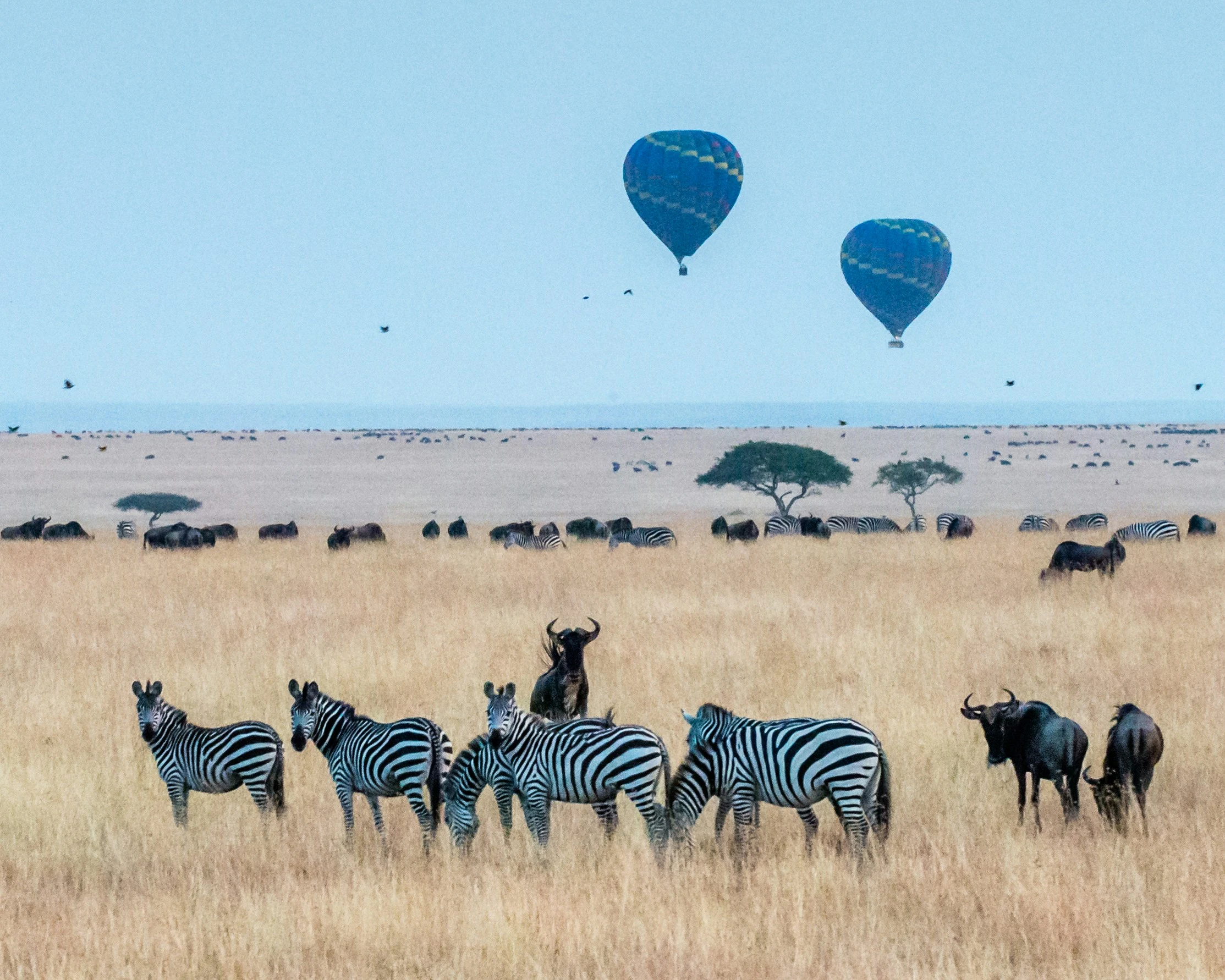 Balloon safari over the Serengeti